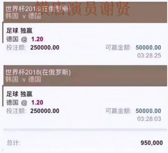 世界杯买球平台深度评测报告：平台排行与实际体验总结 - 世界杯赛事中心